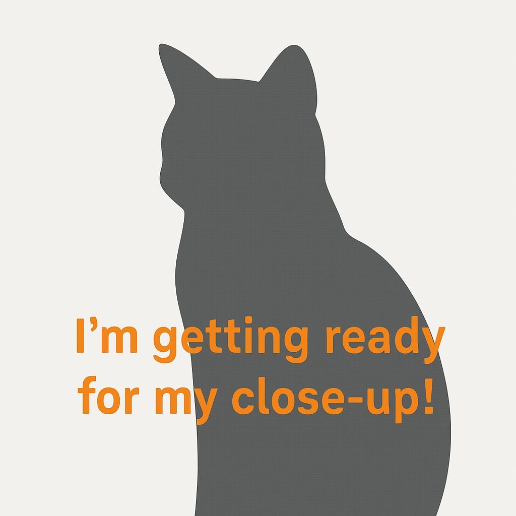Cricket - Domestic Shorthair