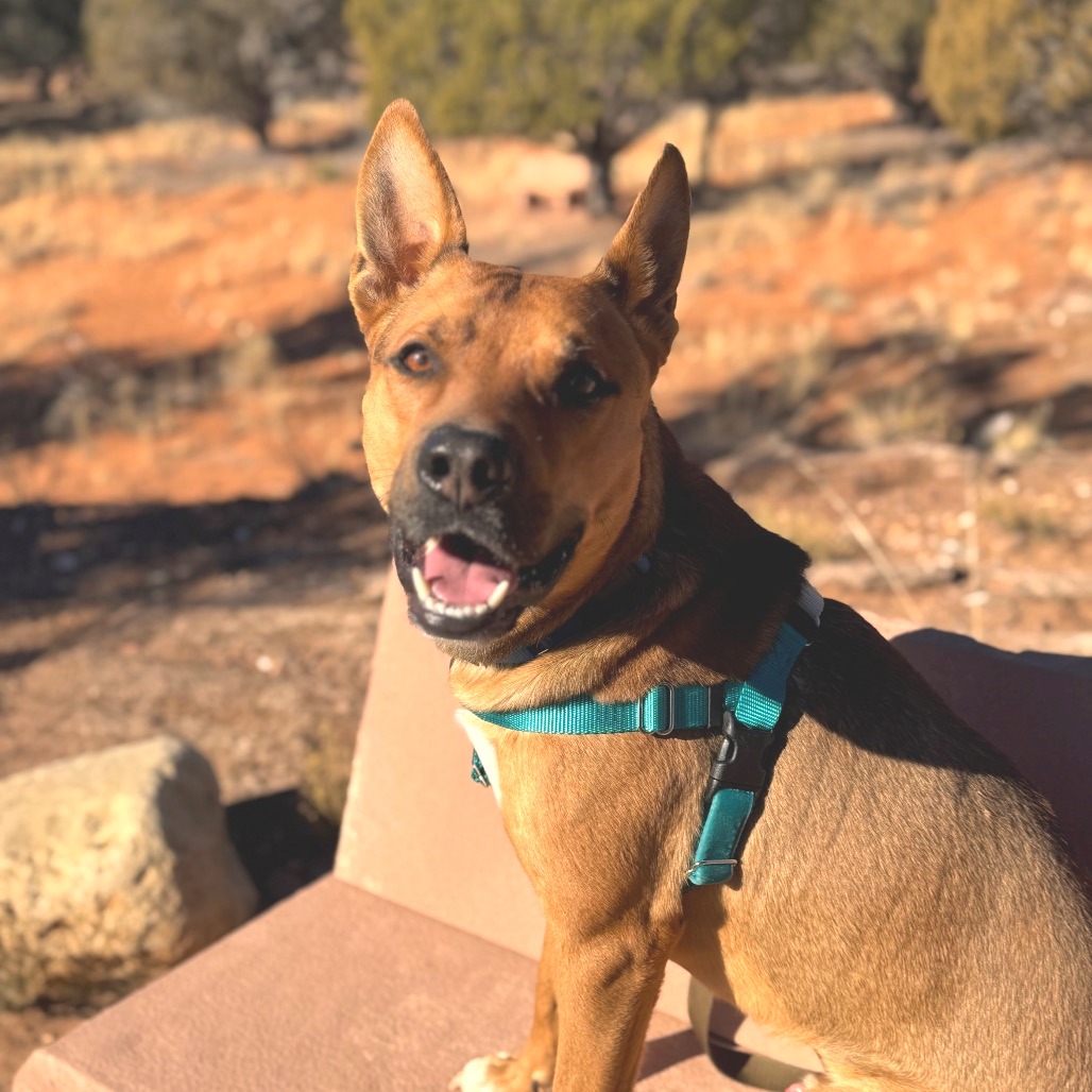 Whiskey Pete - 