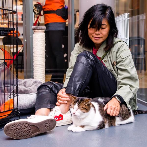 Chester enjoys the attention of someone interested in adopting during a meeting at the center.