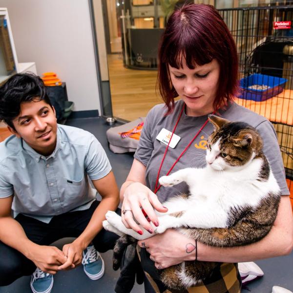 Chester enjoys affection during a meeting at the center.