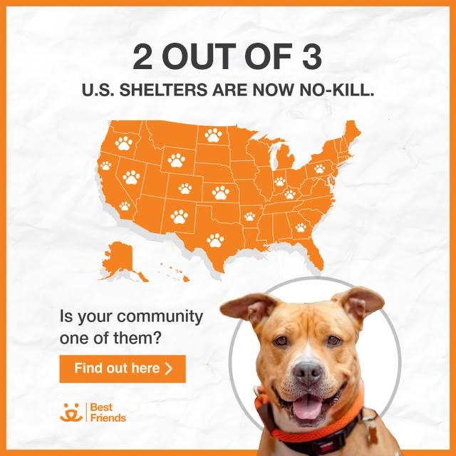 2 out of 3 US shelters are now no-kill graphic