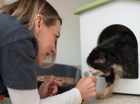 Caretaker feeding "Righty Tighty" the cat.