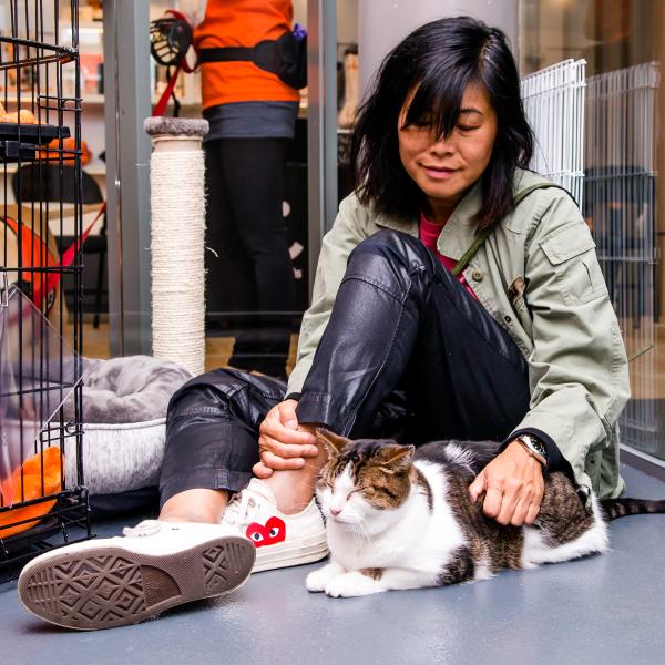 Chester disfruta de la atención de alguien interesado en adoptar durante un encuentro en el centro.