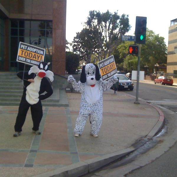 Mascots holding signs to promote an adoption event