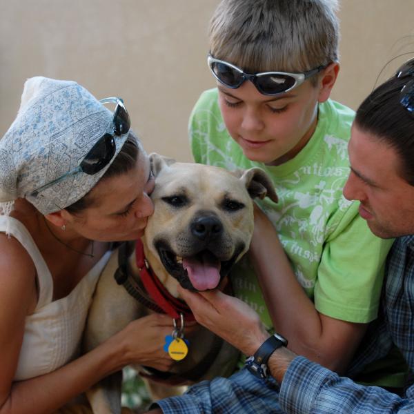 Handsome Dan’s new family give him the love he deserves.
