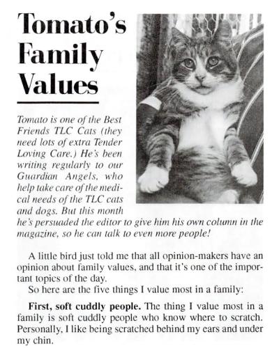 Tomato's Family Values news article preview
