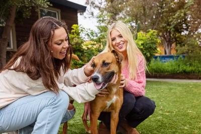 Two smiling people petting a dog in the grass - low-cost spay and neuter programs help keep pets healthy