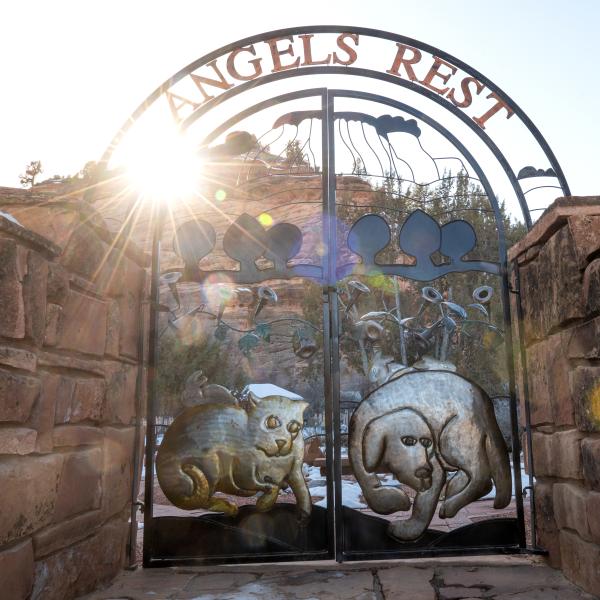 The gates at Angels Rest: both a work of art and a tribute to the memory of our very best friends