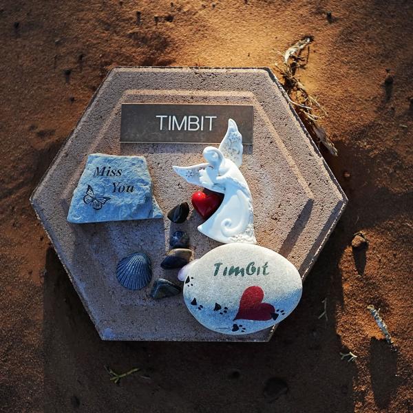 Place marker at Angels Rest