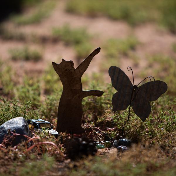 Memorial tokens honor the animals who live forever in our hearts
