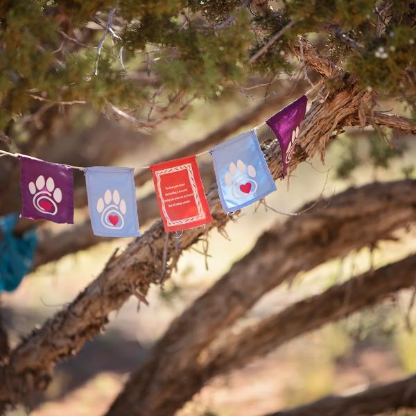Prayer flags in tree at Angels Rest Overlook