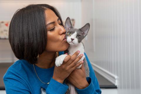 Person kissing the side of the head of a hairless sphinx cat