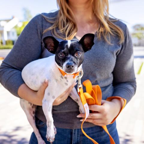 Best Friends Animal Society