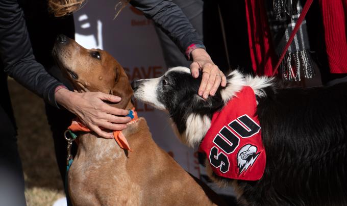 Person petting two dogs, including one who is wearing a SUU bandana