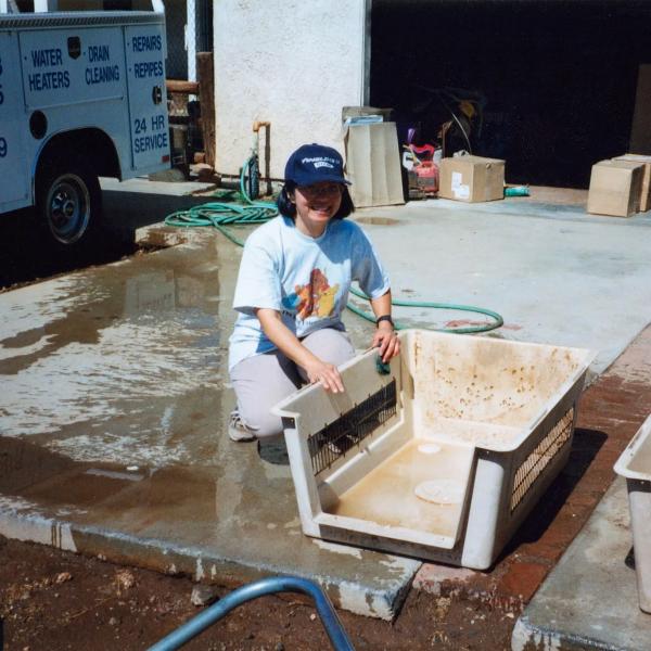 A Brigade volunteer scrubs and sanitizes kennels, 2002.