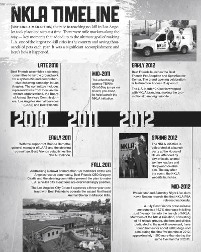 NKLA timeline