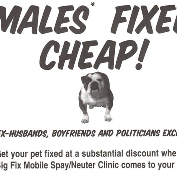 Eye-catching No More Homeless Pets in Utah ad for discounted spay/neuter services.