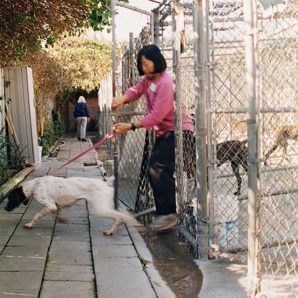 Beagles and Buddies 2002