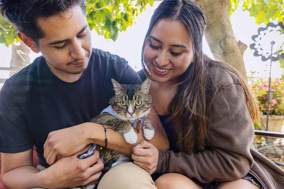 Couple cuddling with a cat being held in their laps