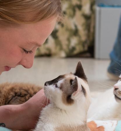 Smiling person relaxing with three cats on the floor