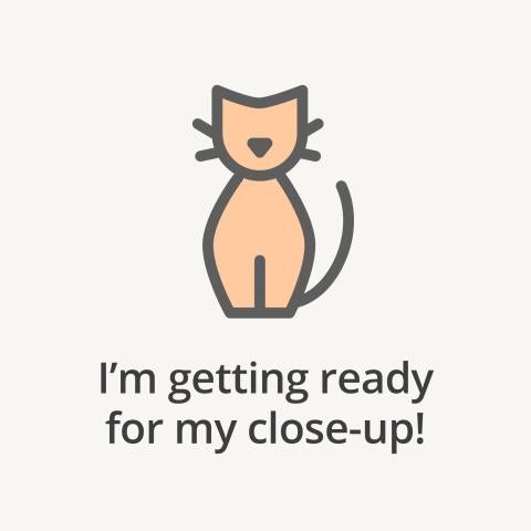 cat cartoon