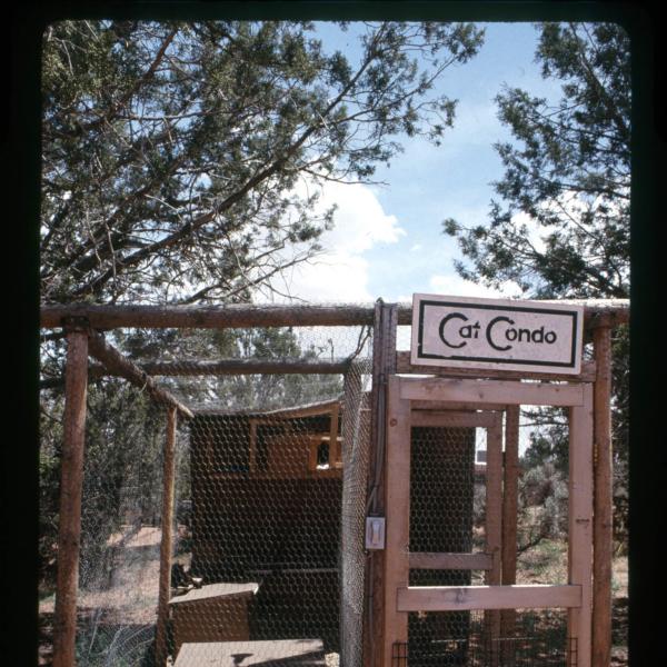 All early cat dwellings were basic wood frames enclosed with chicken wire.