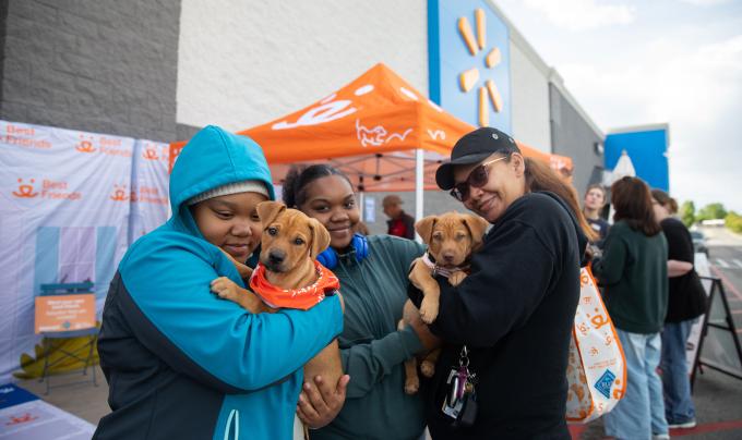 Cloud and Sol the puppies being adopted in front of Walmart