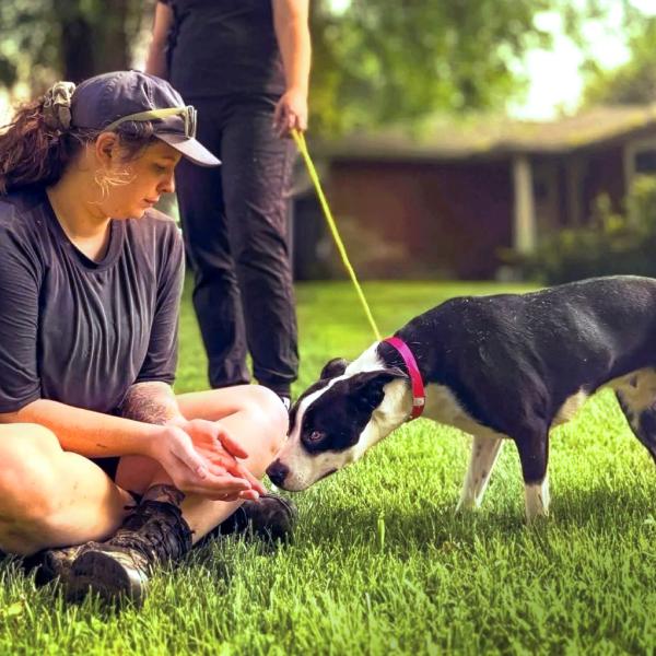 Twirl's second chance reflects the power of collaboration.