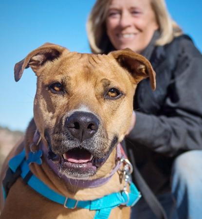 Woman with brown dog on hike in canyon