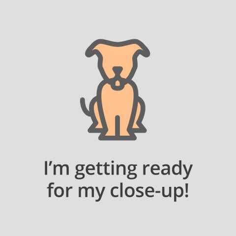 dog cartoon