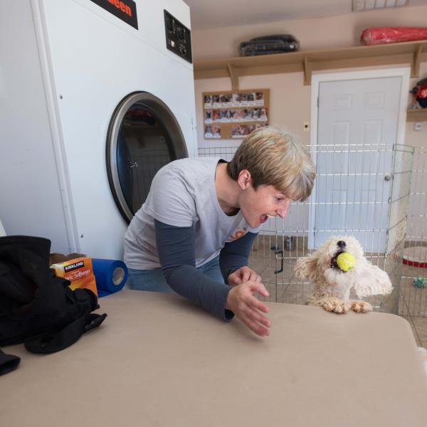 Person interacting with a small dog in a laundry room