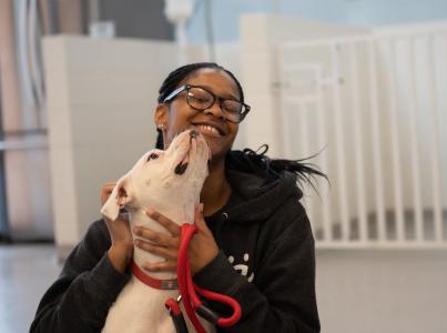 Shelter worker smiling at dog licking her face.