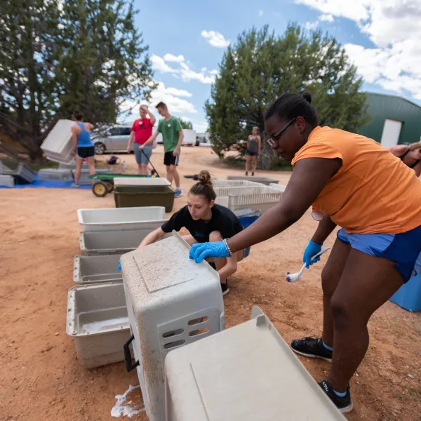 Group of volunteers cleaning large plastic pet carriers