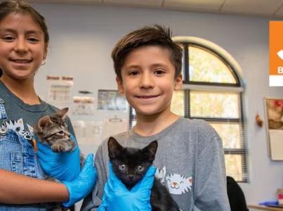 Two kids smiling holding kittens.