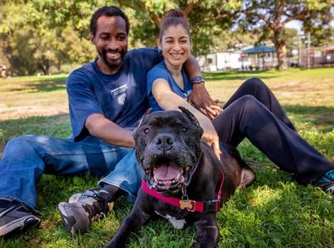 Foster-senior-dog-EnzoBarryVanderable_LF_IMG_4242.jpg