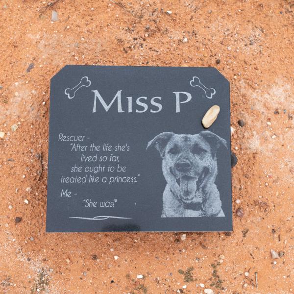Pet memorial stone placed at our Utah animal sanctuary