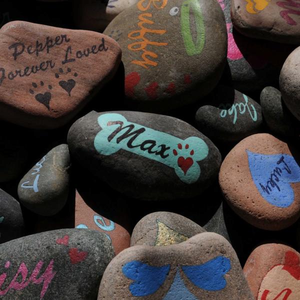 Painted memorial rocks