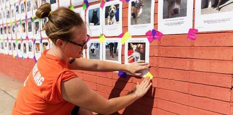 Person in orange shirt hanging up flyers