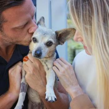 Two people holding a small dog between them