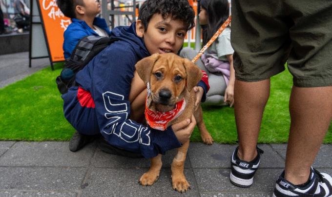 Childing hugging a brown puppy who is wearing a red bandana