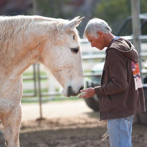 Profiles of a person and horse looking at each other