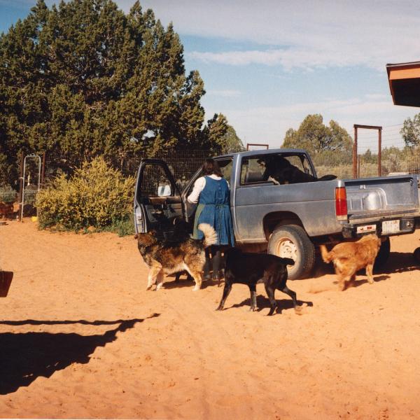 Co-founder Faith Maloney makes the rounds at Dogtown in an old pickup.