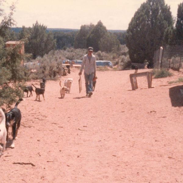 Co-Founder Tyson Horne on a daily walk with multiple unleashed (out) dogs.