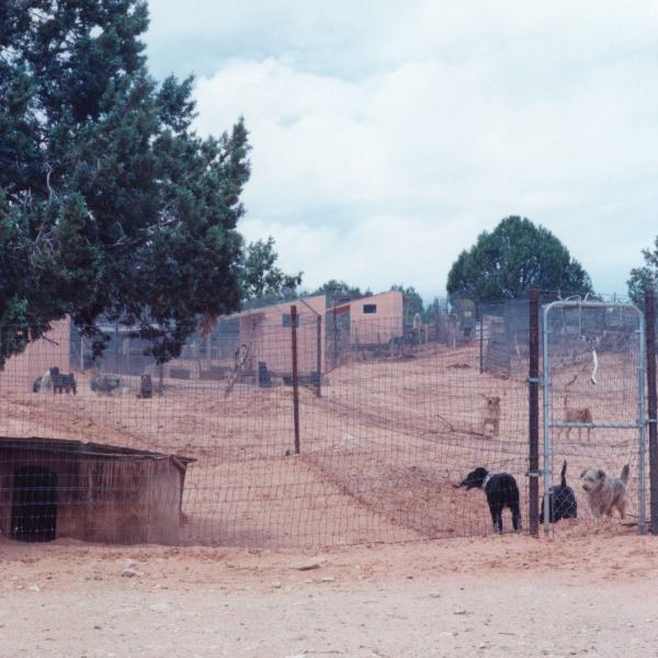 Outside fenced area with shelters in old Dogtown