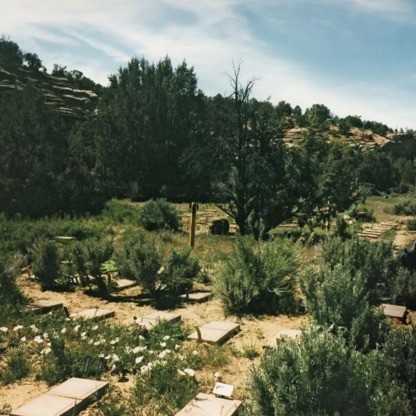 Early photo of Angels Rest