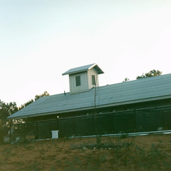 The original Bunny House, photographed by a visiting member,1998.