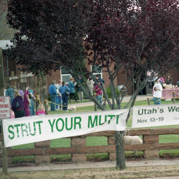 Strut Your Mutt, held at Kanab Middle School as part of the first Utah’s Week for the Animals, 1994.