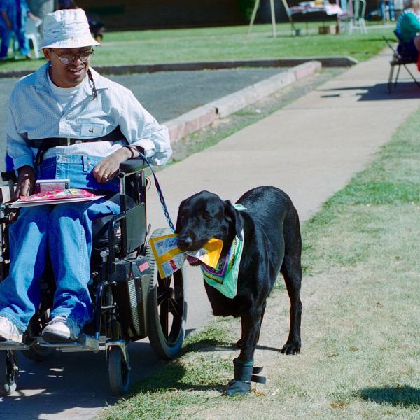 Person in a wheelchair with a dog on a leash