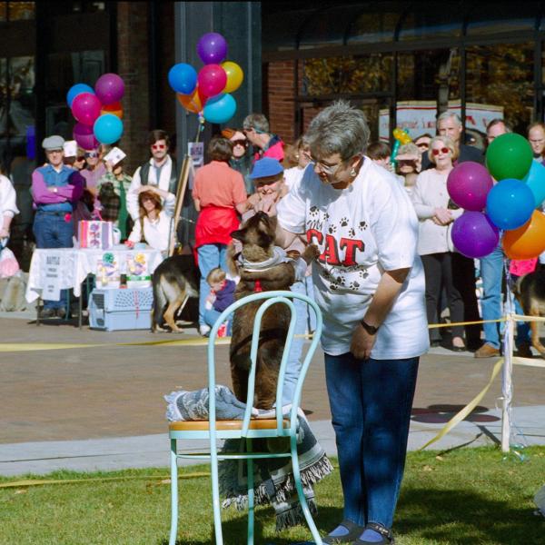 Even cats can participate in Strut Your Mutt contests, 1995.