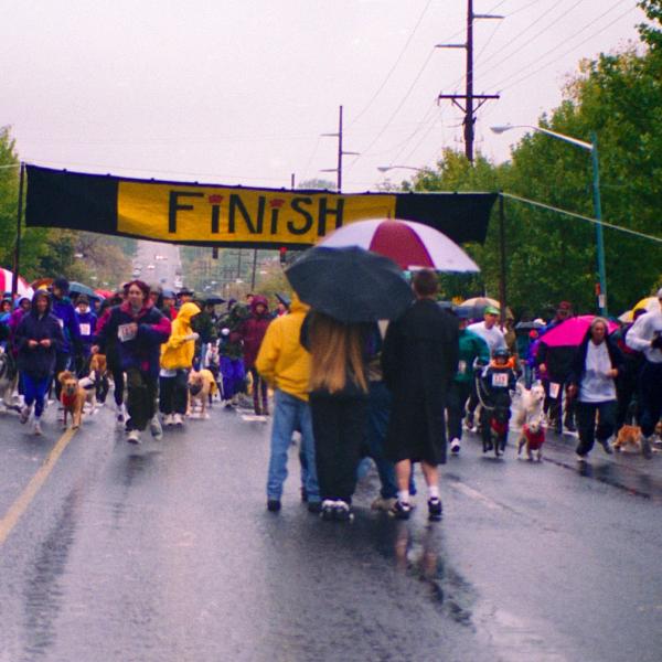 Strut Your Mutt participants take off at the starting line, Salt Lake City,